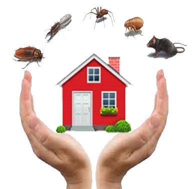 PEST CONTROL